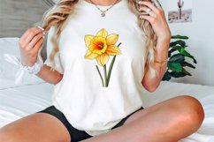 Watercolor Daffodil Clipart Bundle Product Image 3