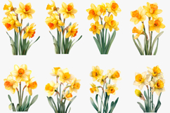 Watercolor Daffodil Clipart png Whimsical Daffodil png Product Image 2