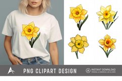Watercolor Daffodil Clipart Product Image 1