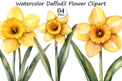 Watercolor Daffodil Flower Clipart Product Image 1