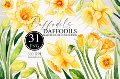 watercolor clipart, watercolor flower, flower clipart, floral clipart, daffodils clipart, watercolor daffodils, narcissus watercolor clipart, spring flowers clipart, digital download, botanical drawing, easter flowers PNG, mothers day flowers PNG, narciss