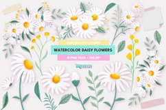 Watercolor daisy flowers Clipart Illustrations Product Image 1