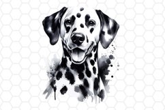 Watercolor Dalmatian Dog Clipart Dog Sublimation PNG