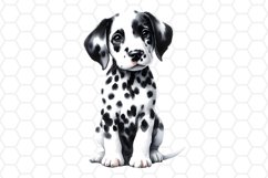 Watercolor Dalmatian Dog Clipart Dog Sublimation PNG