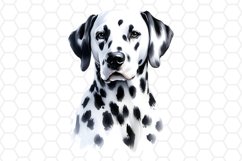 Watercolor Dalmatian Dog Clipart Dog Sublimation PNG