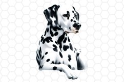 Watercolor Dalmatian Dog Clipart Dog Sublimation PNG