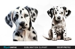 Dalmatian Dog,Watercolor Dalmatian,Dalmatian Clipart,Dog Png,Dog Clipart,Nursery Clipart,Dog Watercolor,Puppy Images,Dalmatian Art,Stencils,Dalmatian Clipart,Dog Png,Dog Clipart,Nursery Clipart,
