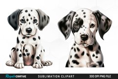 Dalmatian Dog,Watercolor Dalmatian,Dalmatian Clipart,Dog Png,Dog Clipart,Nursery Clipart,Dog Watercolor,Puppy Images,Dalmatian Art,Stencils,Dalmatian Clipart,Dog Png,Dog Clipart,Nursery Clipart,