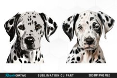 Dalmatian Dog,Watercolor Dalmatian,Dalmatian Clipart,Dog Png,Dog Clipart,Nursery Clipart,Dog Watercolor,Puppy Images,Dalmatian Art,Stencils,Dalmatian Clipart,Dog Png,Dog Clipart,Nursery Clipart,