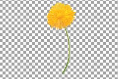 Dandelion watercolour elements, blow balls, yellow flowers. Product Image 6