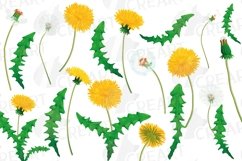 Dandelion watercolour elements, blow balls, yellow flowers. Product Image 5