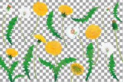 Dandelion watercolour elements, blow balls, yellow flowers. Product Image 8