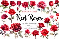 Watercolor Dark Red Rose Cliparts