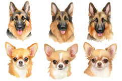 Watercolor Dog Breed Clipart Bundle Product Image 4