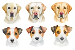 Watercolor Dog Breed Clipart Bundle Product Image 6