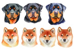 Watercolor Dog Breed Clipart Bundle Product Image 7