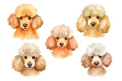 Watercolor Dog Breed Clipart Bundle Product Image 8