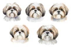 Watercolor Dog Breed Clipart Bundle Product Image 9