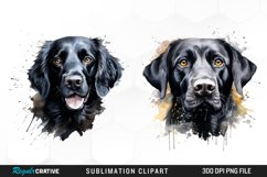 Dogs Clipart,Dogs Pngs,Dogs Png,Dog Breed Clipart,Dog Breeds Png,Sublimation Designs,Dogs Sublimation,Dog Clipart Bundle,Watercolor Dogs,Dog Illustration,Puppy Clipart Png,Dog Print Png,Png,Full Body,Clipart,Dog Breeds Png,Labrador,Dog Breeds,Bundle,