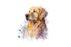 red golden retriever,golden retriever,golden retriever png,red golden clipart,red golden png,golden cliaprt,dog clipart,dog png,dog wall art,dog illustration,watercolor dog,puppy clipart,puppy,digital illustration,watercolor clipart,printable art,stock im