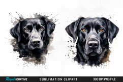 Dogs Clipart,Dogs Pngs,Dogs Png,Dog Breed Clipart,Dog Breeds Png,Sublimation Designs,Dogs Sublimation,Dog Clipart Bundle,Watercolor Dogs,Dog Illustration,Puppy Clipart Png,Dog Print Png,Png,Full Body,Clipart,Dog Breeds Png,Labrador,Dog Breeds,Bundle,