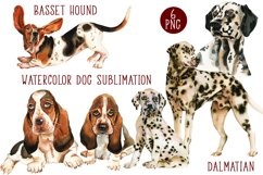 Watercolor Dog Sublimation Basset Hound, Dalmatian Product Image 1