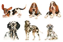 Watercolor Dog Sublimation Basset Hound, Dalmatian Product Image 5