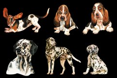 Watercolor Dog Sublimation Basset Hound, Dalmatian Product Image 6