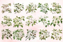 Watercolor Dogwood Clipart Bundle Product Image 3