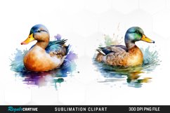 Vintage Clipart,Watercolor Clipart,Baby Animal Clipart,Duckling Clipart,Watercolor Duck,Duck Clipart,Digital Prints,Watercolor Clipart,Clipart Pack,Duck Clipart,Watercolor Duck,Farm Animal Clipart,