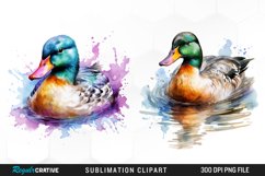 Vintage Clipart,Watercolor Clipart,Baby Animal Clipart,Duckling Clipart,Watercolor Duck,Duck Clipart,Digital Prints,Watercolor Clipart,Clipart Pack,Duck Clipart,Watercolor Duck,Farm Animal Clipart,