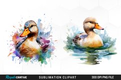Vintage Clipart,Watercolor Clipart,Baby Animal Clipart,Duckling Clipart,Watercolor Duck,Duck Clipart,Digital Prints,Watercolor Clipart,Clipart Pack,Duck Clipart,Watercolor Duck,Farm Animal Clipart,