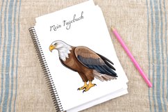 Watercolor Eagle Clipart Bundle Product Image 4