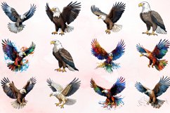 Watercolor Eagle Clipart Bundle Product Image 2