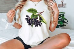 Watercolor Elderberry Clipart Bundle Product Image 3