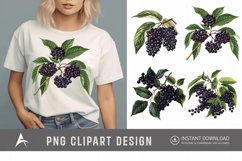Watercolor Elderberry Clipart Product Image 1