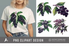 Watercolor Elderberry Clipart Product Image 1