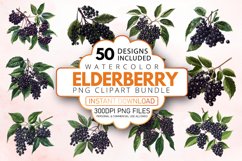 Watercolor Elderberry Clipart Bundle Product Image 1