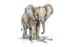 jungla animals,tiger clipart,lion clipart,baby animals,baby animal png,clipart bundle,elephant clipart,watercolor painting,scrapbook images,paper crafting,clipart pack,digital clipart,junk journal,fanstasy clipart,card making,commercial use,animal clipart