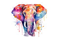 Watercolor Colorful Elephant Clipart Bundle,animal clipart,baby animals,baby elephant png,baby shower clipart,clipart bundle,commercial license,cute safari,elephant baby shower,elephant clipart,invitation card,nursery wall art,watercolor clipart