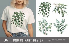 Watercolor Eucalyptus Clipart Product Image 1