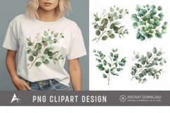 Watercolor Eucalyptus Clipart Product Image 1