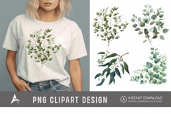 Watercolor Eucalyptus Clipart Product Image 1