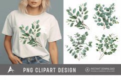 Watercolor Eucalyptus Clipart Product Image 1