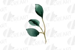 Watercolour eucalyptus and green leaves invitation design Product Image 12