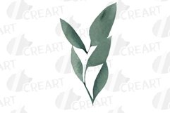 Watercolour eucalyptus and green leaves invitation design Product Image 13