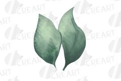 Watercolour eucalyptus and green leaves invitation design Product Image 14