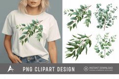 Watercolor Eucalyptus Clipart Product Image 1
