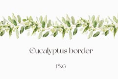 Watercolor eucalyptus border clipart