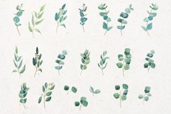 Watercolor Eucalyptus Clipart |Floral Clipart Product Image 4